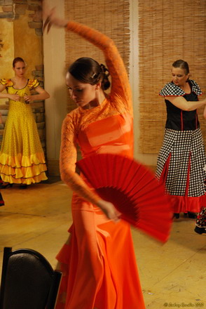  Tierra de flamenco   !