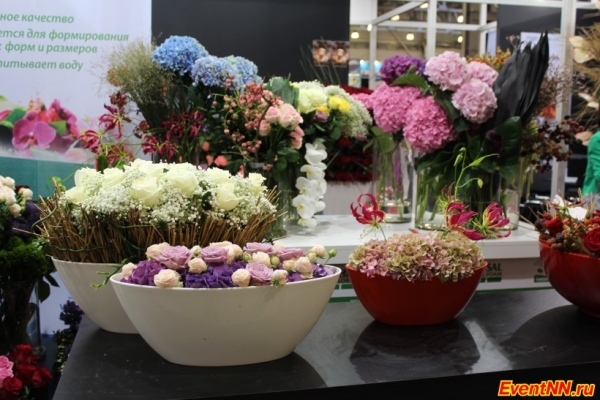 День матери 2016: магазины цветов в Нижнем Новгороде 