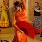  Tierra de flamenco   !