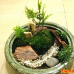 ��������� �� Home Garden: �������� ��� ��� ������� � ������