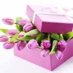 Подарки на 8 марта: традиционные, вкусные и эмоциональные