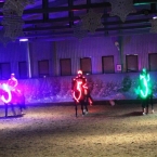 Конный эко-клуб «Ассамблея»: «Наши конные спектакли – это полноценные театральные постановки, в которых главные актёры — лошади!»