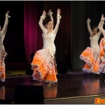 -   "Flamenco vivo" . +7 (906) 352-59-77
