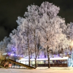 Нижегородский парк «Швейцария» станет похож на московское «Зарядье»