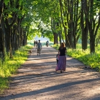 Массовые мероприятия и субботники-квесты в парках Нижнего Новгорода