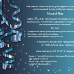 Новогодний корпоратив в кафе
