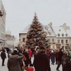 Стоимость украшения Нижнего Новгорода к Новому Году 2020