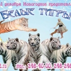 Белые тигры в Нижегородском цирке