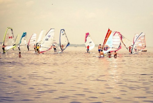   WAFEst  2012