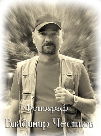 Несколько пожеланий жениху и невесте Несколько пожеланий жениху и невесте