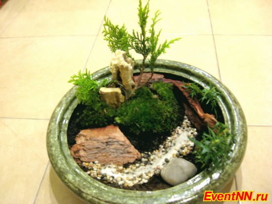 Минисадик от Home Garden: цветущий май для квартир и офисов Минисадик от Home Garden: цветущий май для квартир и офисов