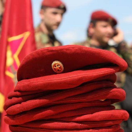 День внутренних войск МВД России 2014: покой им только снится День внутренних войск МВД России 2014: покой им только снится