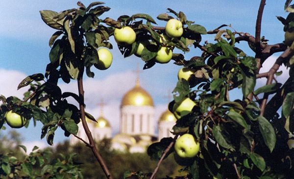 Яблочный Спас в Нижнем Новгороде: 5 вещей для того, чтобы праздник получился