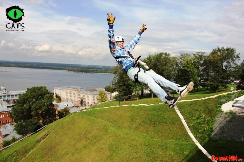 Cats RopeJumping.   . : 