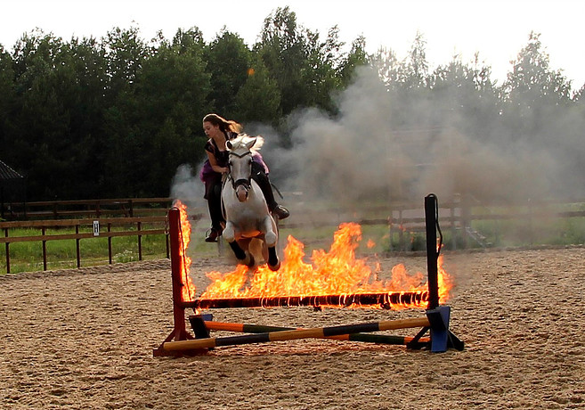 Кск нижний новгород. Ассамблея конный клуб Нижний Новгород. Конь прыгает через огонь. Лошадь прыгает через огонь. КСК Викинг.