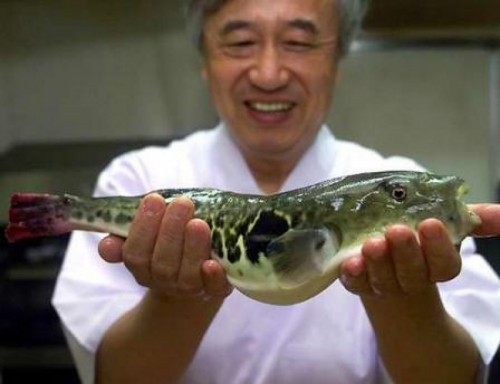 Интересные факты о японской кухне и напитках, кухня,алкоголь Интересные факты о японской кухне и напитках, кухня,алкоголь