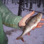 Зимняя рыбалка на Горьковском море