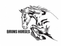 Частная конюшня Bruns Horses