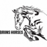   Bruns Horses