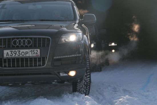  Audi  World Class    2010