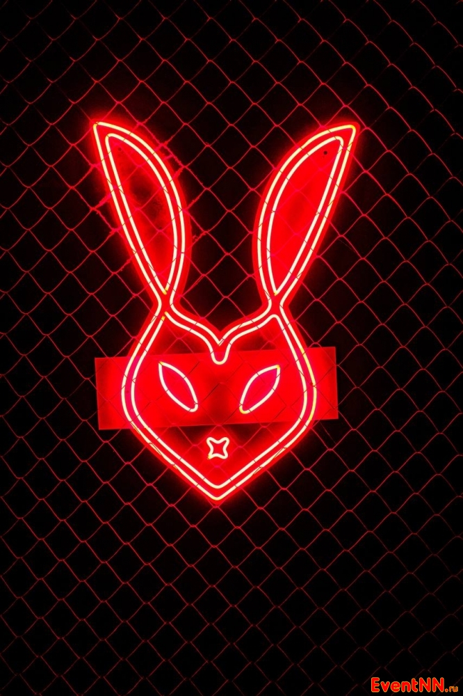   Mr.Nobody . +7 (831) 283-66-22