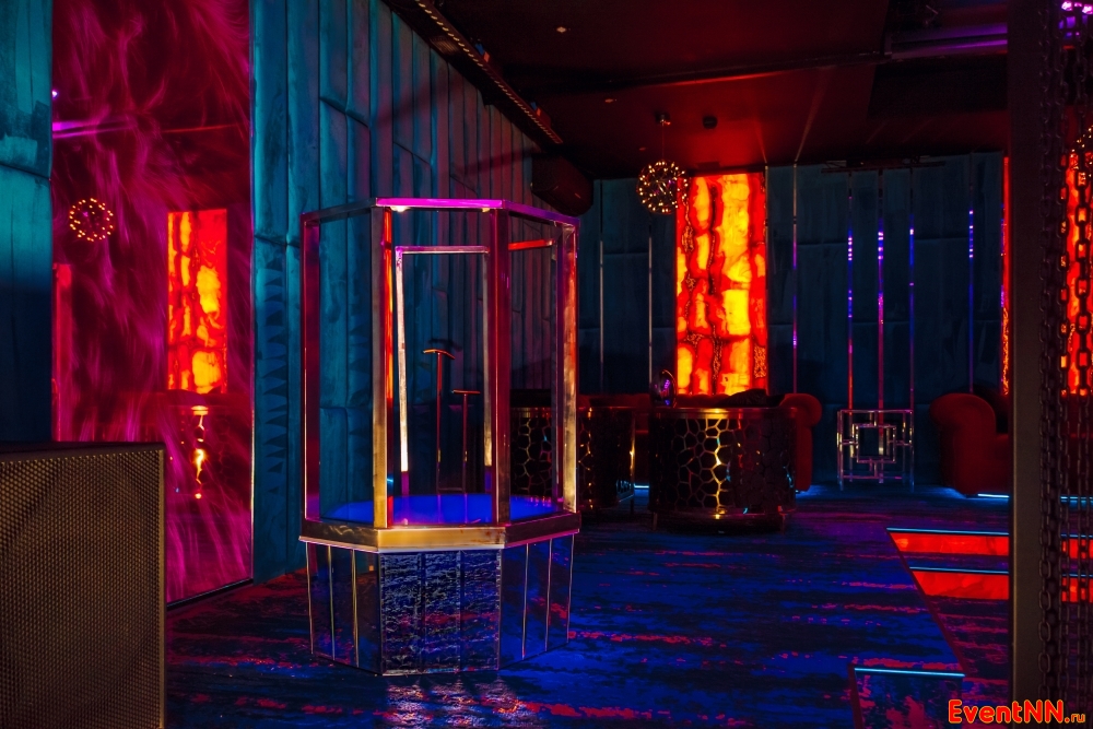   TOYS . +7 (831) 413-66-22