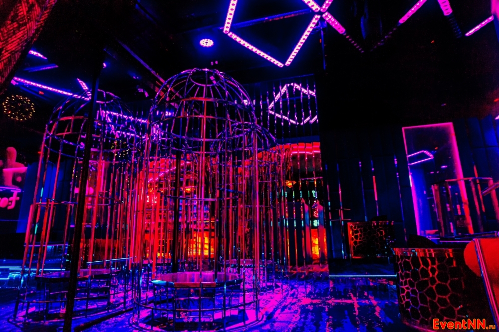   TOYS . +7 (831) 413-66-22