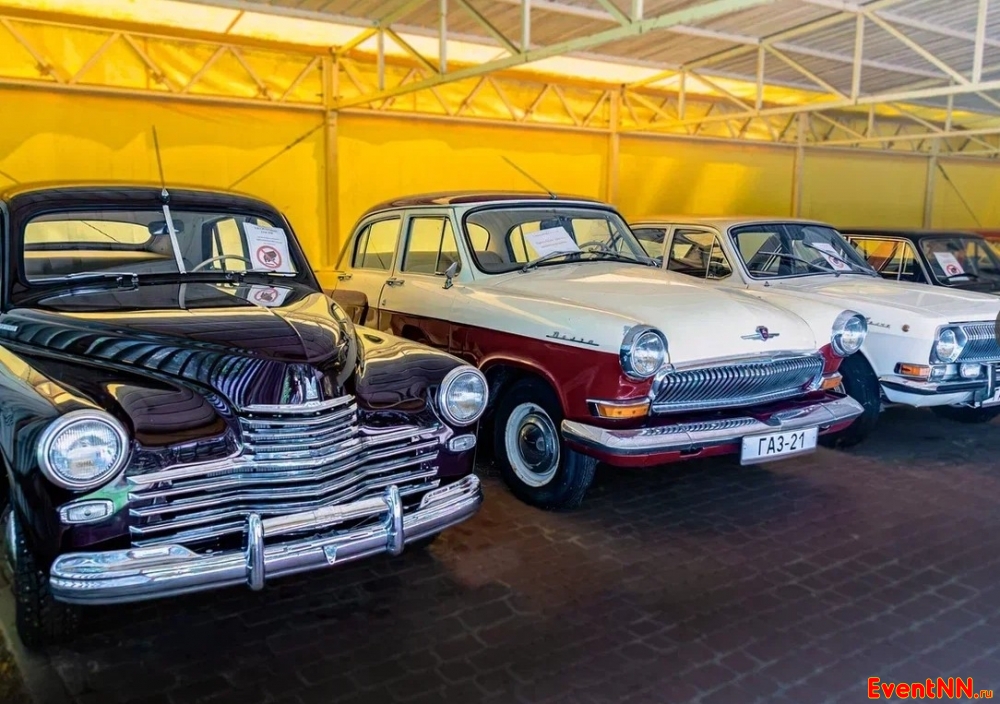 ����-����� ���������� ���. +7 (831) 231-01-01