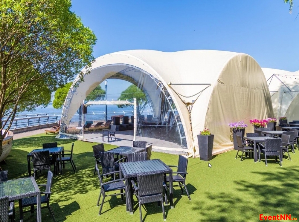 ���� ����-����� ���������� ���. +7 (831) 231-01-01