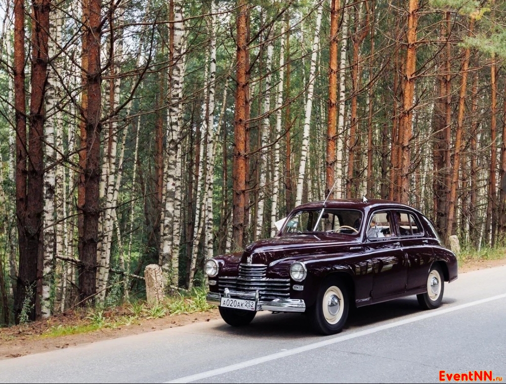 �������� ����� � ����-����� ���������� ���. +7 (831) 231-01-01