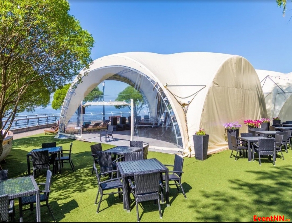 ��������� ���� ����-����� ���������� ���. +7 (831) 231-01-01