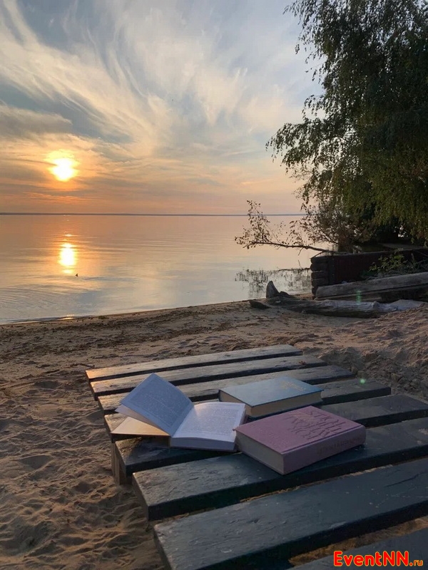 ���������� ������ ��������  ���. +7 (904) 790-81-11