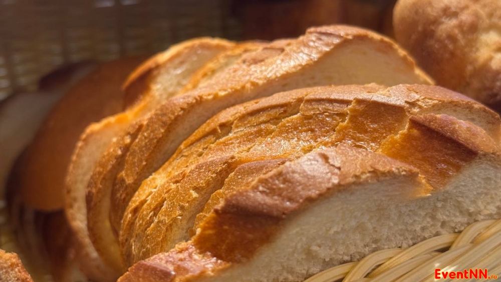 ���� � ������ ����-������������ ���. +7 (951) 915-69-47