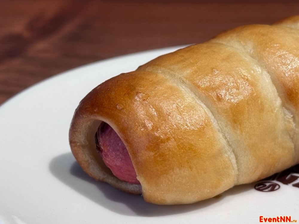 ���� � ������ ����-������������ ���. +7 (951) 915-69-47