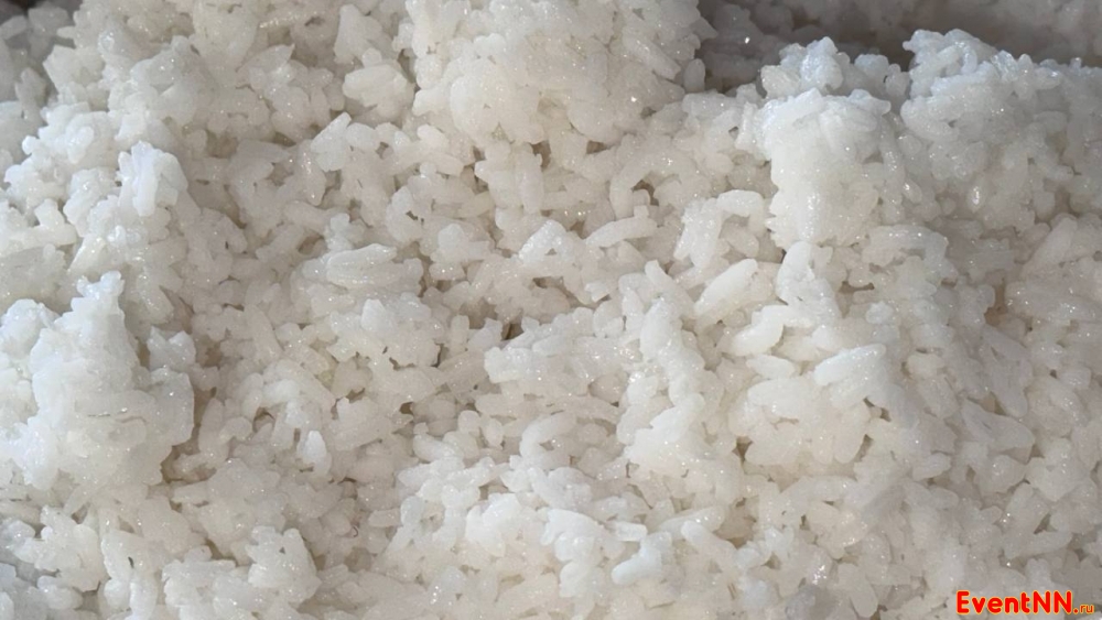 ���� � ������ ����-������������ ���. +7 (951) 915-69-47