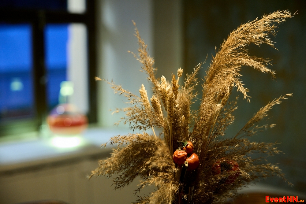 ������ ������������� ���� 19 ���� - ���� ��������  ���. +7 (831) 437-80-05