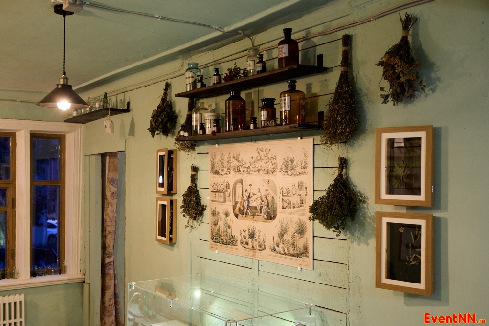 ������ ������������� ���� 19 ���� - ���� ��������  ���. +7 (831) 437-80-05