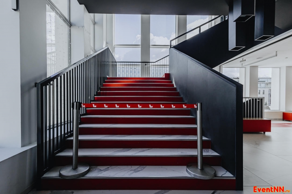 ��� Live ���� ������ �������� ���. +7 (831) 234-37-33