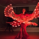   Fenix . +7 (908) 732-60-08