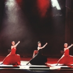 -   "Flamenco vivo" . +7 (920) 253-22-14