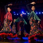 -   "Flamenco vivo" . +7 (920) 253-22-14