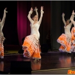 -   "Flamenco vivo" . +7 (920) 253-22-14