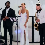 Luxury Cover Band . +7 (916) 711-14-44