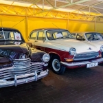 ����-����� ���������� ���. +7 (831) 231-01-01