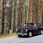 �������� ����� � ����-����� ���������� ���. +7 (831) 231-01-01