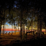 ����� � ��������� �� ���������