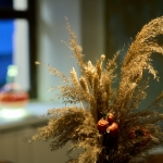 ������ ������������� ���� 19 ���� - ���� ��������  ���. +7 (831) 437-80-05