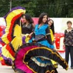    2010