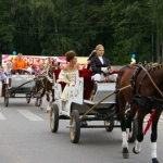    2010