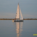 ����